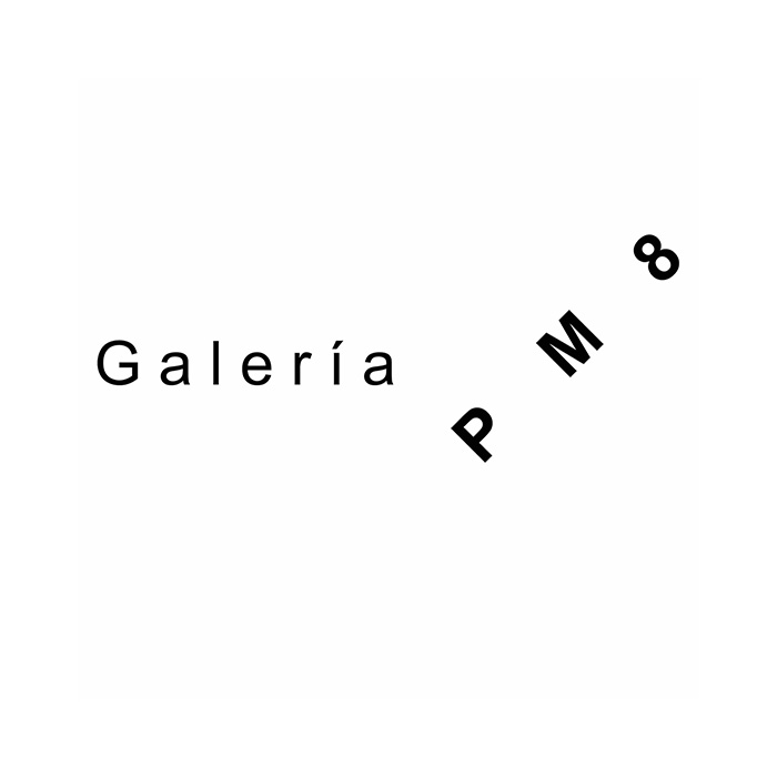 About the Artwork Pm 8 Francisco Salas Gallery Logo 