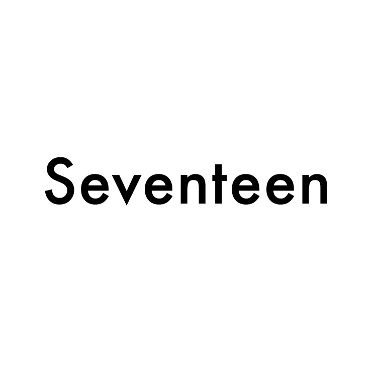 About the Artwork Seventeen Logo 