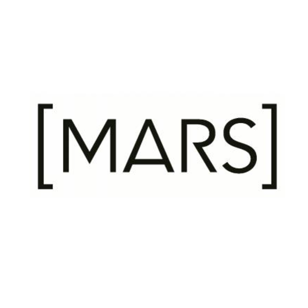 About the Artwork Mars 