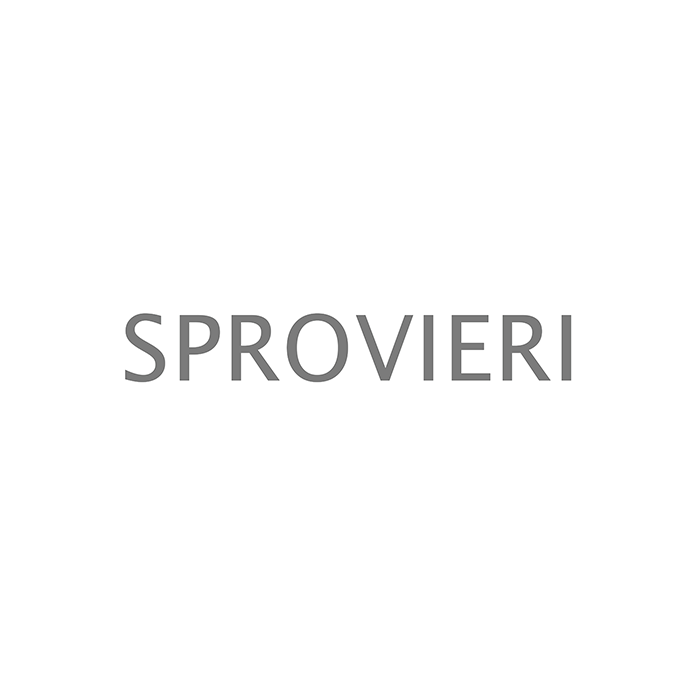 About the Artwork Sprovieri Gallery Logo 